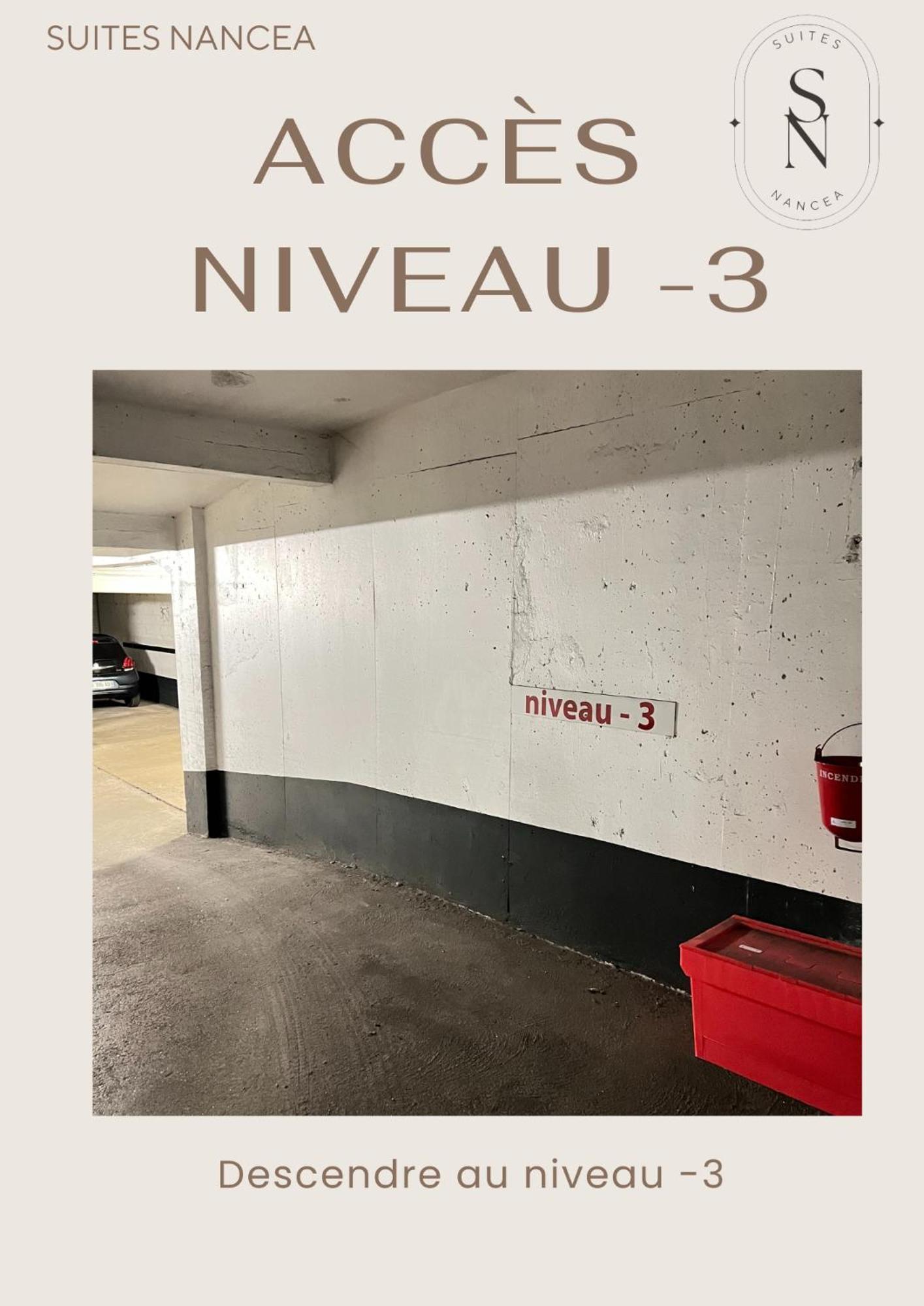Appartamento Vue Sur Le Palais - Nancy Gare Congres - Parking - T3 Esterno foto